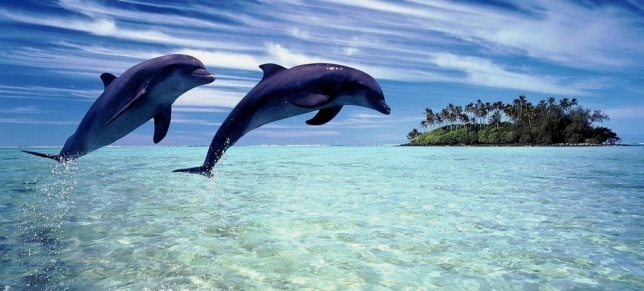 Водопад «Дельфин»